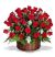 Rosas en Ramo x 50 - Lucero 