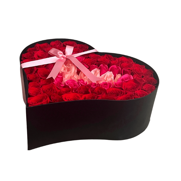 Caja grande de lujo con 100 rosas en colores degrade, caja corazon negra  grande con rosas, flores para san valentin en Colombia, domicilio de flores  en colombia, cajas de lujo con rosas